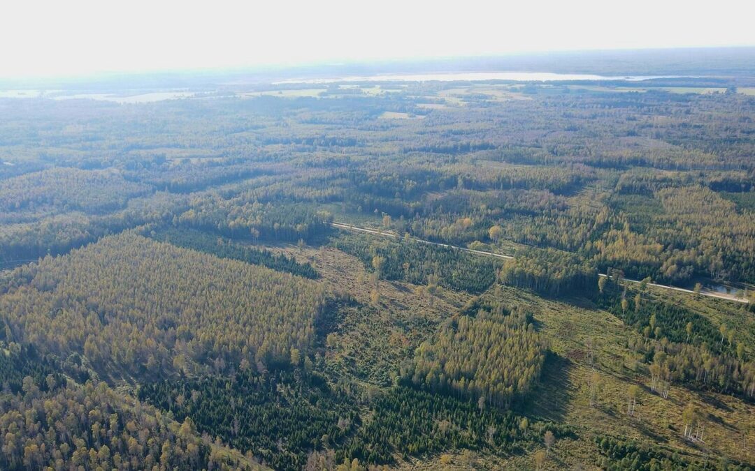 Pärnumaa kaitsetööstuspark